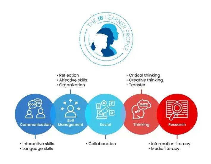 一篇带你了解什么是TOK？